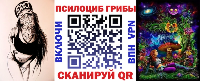 Псилоцибиновые грибы Psilocybe  Шебекино 